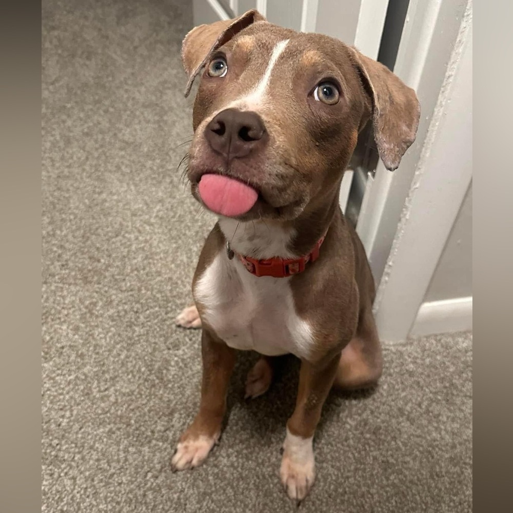 Meet your Posher, Ana - Picture 11 of 16